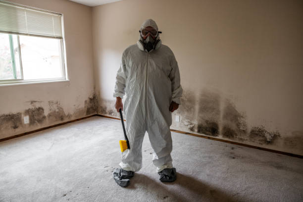 Best Mold Remediation for Specific Building Types in St Simons, GA